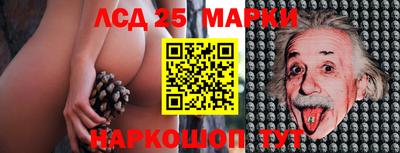 гидропоника Донской