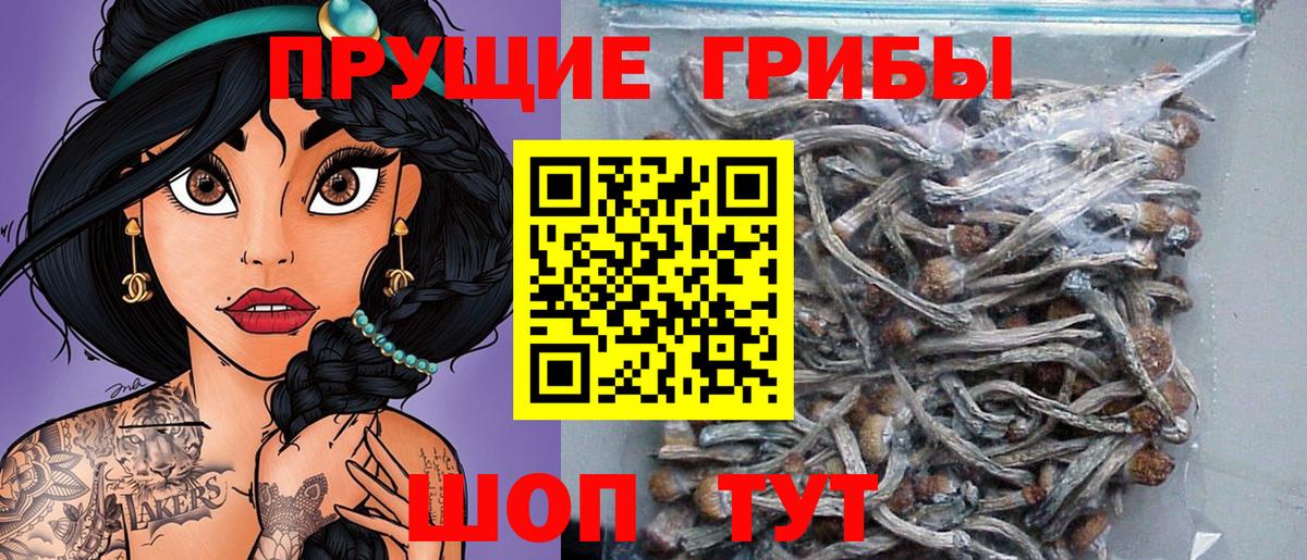 Псилоцибиновые грибы ЛСД Междуреченск