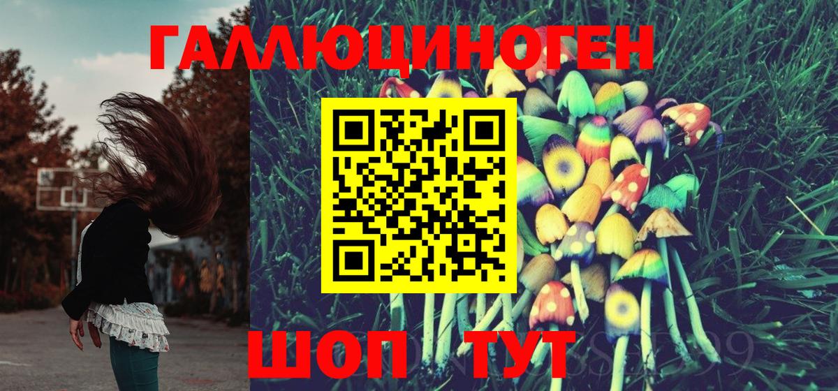 Галлюциногенные грибы мицелий  Вход с VPN  Междуреченск  Псилоцибиновые грибы GOLDEN TEACHER 